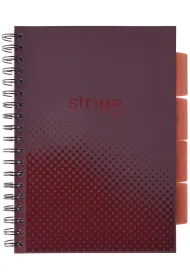 Strigo Ko�ozeszyt Pads B5 Basic bordowy kratka 100 kartek