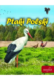 Ptaki Polski