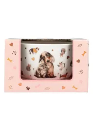 Depesche Miseczka w ozdobnym pude�ku Top Model Fur Ever Friends 13867A