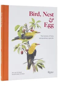 Bird, Nest & Egg