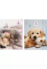 Beniamin Teczka z gumk A4 The Sweet Pets Kids
