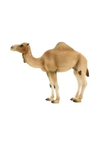 Figurka Wielb��d Arabski