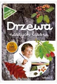 Drzewa naszych las�w cz. II