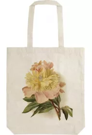 Skona Ting Torba bawe�niana STBAG38 Piwonia Shopperka