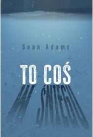 To co� w �niegu
