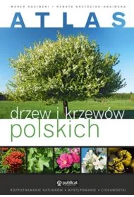 Atlas drzew i krzew�w polskich