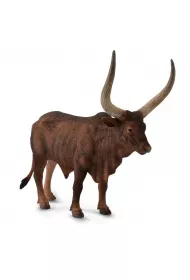 Byk ankole-watusi