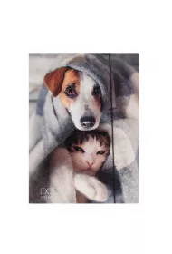 Pan Dragon Teczka A4 z gumk� Pets-17