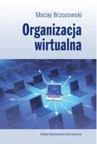 eBook Organizacja wirtualna pdf