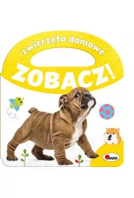 Zobacz Zwierz�ta domowe
