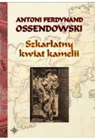 Szkar�atny kwiat kamelii BR w.2022