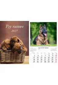 Kalendarz 2027 �cienny 7-k Psy rasowe