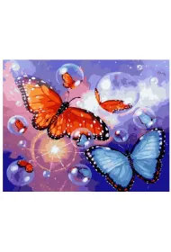 Twoje Hobby Malowanie po numerach - Motyle 40x50cm