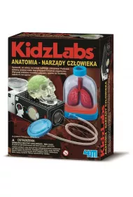 Anatomia - narz�dy cz�owieka (M114.3374) % BPZ * 4M