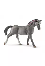 Klacz Trakehner