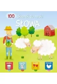 100 okienek do nauki. S�owa