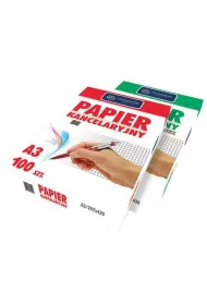 Interdruk Papier kancelaryjny A3 100 kartek
