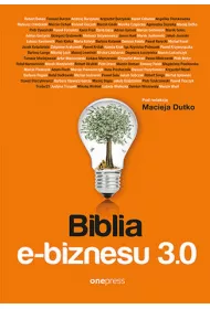 eBook Biblia e-biznesu 3.0 pdf mobi epub