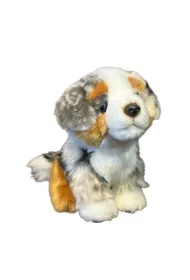 Pies australijski 19cm Dubi