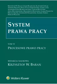 eBook Procesowe prawo pracy. System prawa pracy. Tom 6 pdf