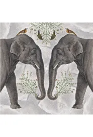Museums & Galleries Karnet kwadrat z kopert� Indian Elephant