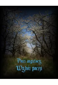 eBook Poeci angielscy mobi epub