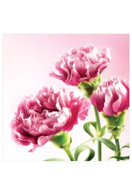 Art Nuvo Karnet kwiatowy KW FF64 r�owe go�dziki