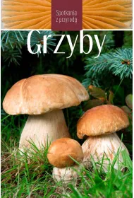 Grzyby. Spotkania z przyrod�