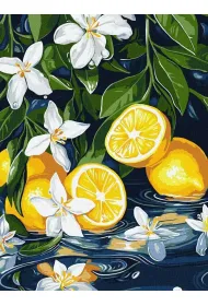 Ideyka Malowanie po numerach - Cytryna w przekroju 30x40cm