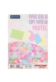Interdruk Papier ksero A4 Pastel 5 kolor�w 100 kartek