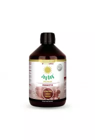 Joy Day Suplement diety koncentrat napoju probiotycznego kurkuma imbir pieprz bezglutenowy 500 ml Bio