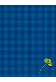 Poligraf Brulion A5 kratka 500 kartek