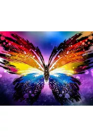 Norimpex Malowanie po numerach Motyl 50x40cm 1007460