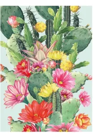 Museums & Galleries Karnet B6 z kopert� Cactus Flower