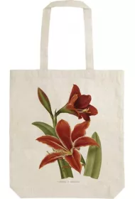 Skona Ting Torba bawe�niana STBAG37 Amarylis Shopperka