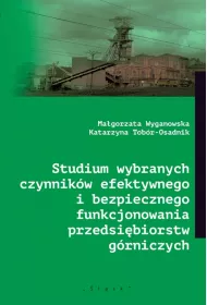 Studium wybranych czynnik�w efektywnego i bezpiecznego funkcjonowania przedsi�biorstw g�rniczych