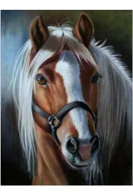 Norimpex Diamentowa mozaika - Ko� z jasn� grzyw� 40x30cm