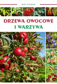 M�j ogr�d Owoce i warzywa w ogrodzie