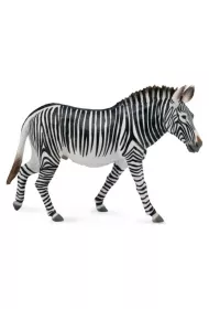 Zebra Grevy's