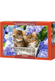 Puzzle 1500 el. Cute Kittens Castorland