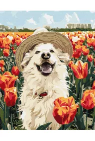 Ideyka Malowanie po numerach -Szczliwy labrador 40x50cm