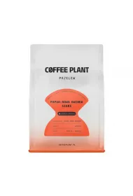 Coffee Plant Kawa ziarnista Papua Nowa Gwinea Sigri Washed Filter 250 g