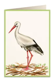 Tassotti Karnet B6 + koperta 5824 Bocian