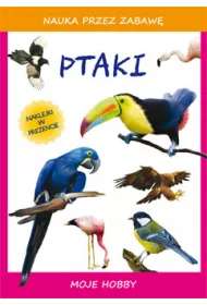 Nauka przez zabaw� Ptaki