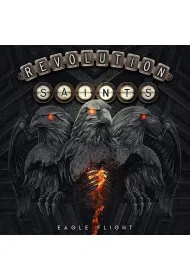 Eagle Flight (vinyl)