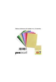 Penword Tektura A4 g�adka brokat kolorowa 10 szt.