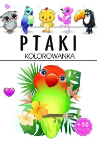 Ptaki. Kolorowanka