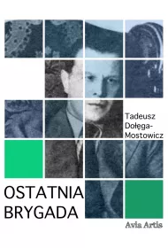 eBook Ostatnia brygada mobi epub