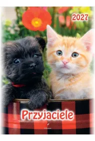 Kalendarz 2027 wieloplanszowy B4 Przyjaciele