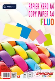 Interdruk Papier ksero A4 Fluo 5 kolor�w 100 kartek